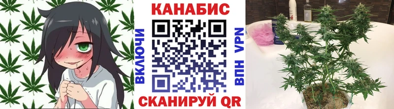 Бошки Шишки индика Купить Бобров